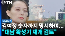 김여정 숫자까지 명시하며...