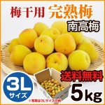 ではあまり g1133 特大4Lサイズ 梅干し向け 和歌山 sPXqI-m81035553745 紀州黄いろ南高梅 5kg しをお
