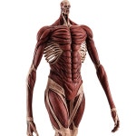 [팝업퍼레이드] 진격의 거인 - 초대형 거인 Ver.L 사이즈 [11월입고완료] [4580416947473]-진격의거인초대형거인- 1004건담/천사건담... 