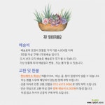 다육화분 오로라파티 최저가 4색 랜덤배송 송이네자기 다육화분