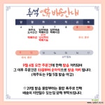 은행나무 묘목 단풍나무 유실수