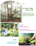 붓들레아 리틀화이트 DT 더블유가든 - 엑스플랜트