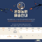 온정농원 로즈마리 대품 외목대 93cm : 허브 - 엑스플랜트