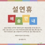 청하각금 금청하각 라임고스트 희귀식물 : 다육식물 - 엑스플랜트