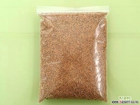 세척된 금사 1000g (세립2-3mm) (포장단위가 1kg으로 바뀌었어요)금모래 황금마사 황금모래 황금사 : 배양토/흙/자갈/돌/모래/바크 - 엑스플랜트