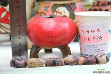 애플트리-파스텔빛 동화시리즈작품 - 엑스플랜트 애플트리-