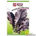 (아시아종묘/갓종자씨앗) 적갓(30g) : 채소/곡물 씨앗 - 엑스플랜트
