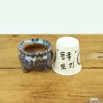 주머니(소)-29 - 엑스플랜트