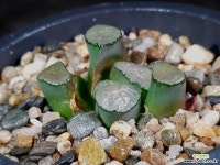 대경만상 47-16 - 엑스플랜트