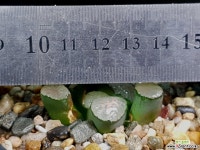 대경만상 47-16 - 엑스플랜트