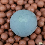 캴쿨러스 입술예뿌고사이즈좋아요 0166 산아래다육이 : 다육식물 - 엑스플랜트 캴쿨러스  입술예뿌고사이즈좋아요 0166 산아래다육이... 