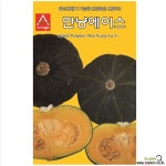 (아시아종묘/단호박씨앗종자) 만냥에이스(40립) : 채소/곡물 씨앗 - 엑스플랜트