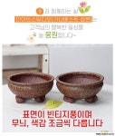 수채화화분 예술적인화분 예쁜화분 다육화분 베란다화분 개업화분 수채화화분 선물화분 작가도예-YS-원형 인아트스튜디오 - 엑스플랜트