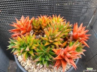 상아탑 401-12 - 엑스플랜트