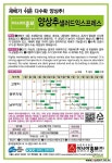 (양상추종자씨앗) 샐러드익스프레스 6000립(LMV free) : 채소/곡물 씨앗 - 엑스플랜트