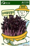 아시아종묘/새싹씨앗 슈퍼홍빛열무(1kg) 새싹채소 : 채소/곡물 씨앗 - 엑스플랜트