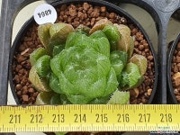 앵수정 104-4864 - 엑스플랜트