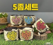 국산수제화분 도향264(5종세트) : 다육화분 - 엑스플랜트