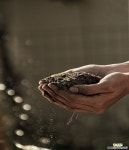 코코신기토16L 분갈이흙 : 배양토/흙/자갈/모래 - 엑스플랜트 코코신기토16L 분갈이흙  : 배양토/흙/자갈/모래 - 엑스플랜트