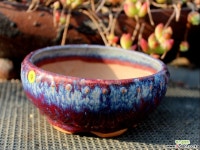 중고화분(천광분) : 다육화분 - 엑스플랜트