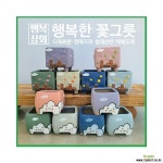 별밤/행복한꽃그릇 : 다육화분 - 엑스플랜트