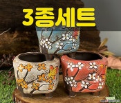 수제화분 해담분8(3종세트) : 다육화분 - 엑스플랜트