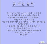꽃파는 농부 - 꽃기린(핑크) : 선인장 - 엑스플랜트