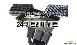 저면관수+24구트레이세트 : 플라스틱화분 - 엑스플랜트