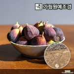 무화과나무 승정도후인 삽목2년 결실주 유실수 무화과 가림원예조경 : 과일/열매 나무 묘목 - 엑스플랜트