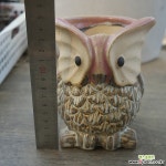 부엉이분 0309-22[랜덤발송] : 다육화분 - 엑스플랜트 부엉이분 0309-22[랜덤발송]  : 다육화분 - 엑스플랜트