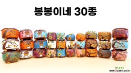 봉봉이네 30종/행복한꽃그릇 : 다육화분 - 엑스플랜트