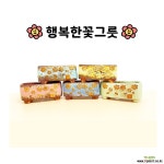 파스텔달구지2번5종/ 행복한꽃그릇 : 다육화분 - 엑스플랜트