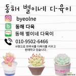 [동해다육] 흑진주 : 다육식물 - 엑스플랜트