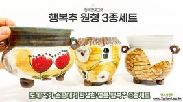 행복추 원형 3종세트 국산 다육화분 베란다 다육이 튼튼하게 키우기 좋은 행복한꽃그릇 : 다육화분 - 엑스플랜트