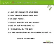 명품튤립 크리스탈뷰티 특구근5개 튜울립구근/추식구근/튤립구근 - 엑스플랜트