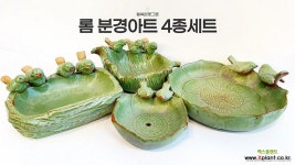 다육아트 전용화분 롬 분경아트 4종 다육식물 테라리움 가드닝 행복한꽃그릇 : 다육화분 - 엑스플랜트