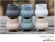 초미니 다육화분 6종 엄지화분6종 : 다육화분 - 엑스플랜트