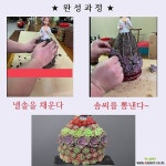 다육아트.토끼.공주.사진관.넬솔.수태.행복상회.행복한꽃그릇 : 다육화분 - 엑스플랜트