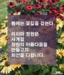 스트라이프 꽂잔디,4개묶음 : 야생화 - 엑스플랜트