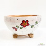 여주꽃순이창 국산 원형 다육이화분 행복한꽃그릇 : 다육화분 - 엑스플랜트 여주꽃순이