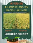 화아분아촉진 수정률증가 엑토신500ml : 비료/영양제/활력제 - 엑스플랜트