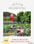 식물성장에 가장좋은 오가노썰1000ml : 비료/영양제/활력제 - 엑스플랜트