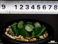 대경만상(중묘이상) 57-8 - 엑스플랜트