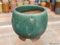 도원분19558 - 엑스플랜트