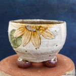 예뜰수제화분 564 : 다육화분 - 엑스플랜트