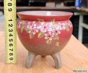 수제화분-읍내분 : 다육화분 - 엑스플랜트