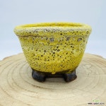 예운 수제다육화분 수제화분 다육화분 화분 Handmade Pot : 다육화분 - 엑스플랜트