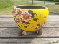 국산공방화분 : 다육화분 - 엑스플랜트