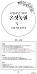 온정농원 아스코센다반다 한정수량 : 공기정화식물 - 엑스플랜트