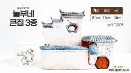 행복한꽃그릇 놀부네 큰집 인테리어 다육이화분 다육아트 분경아트 : 다육화분 - 엑스플랜트